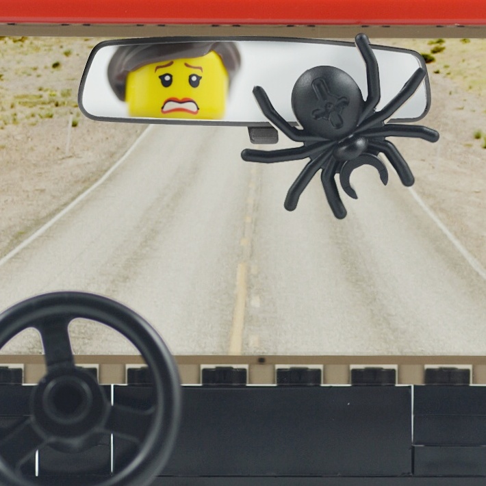 A Portland, Oregon woman ROLLED her car after a spider fell from her rearview mirror while she was driving.