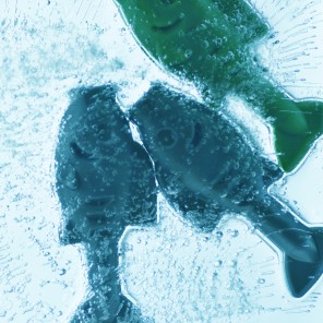 A skating rink in Japan froze fish beneath the surface of the ice to attract visitors, but will now remove them following public outrage.