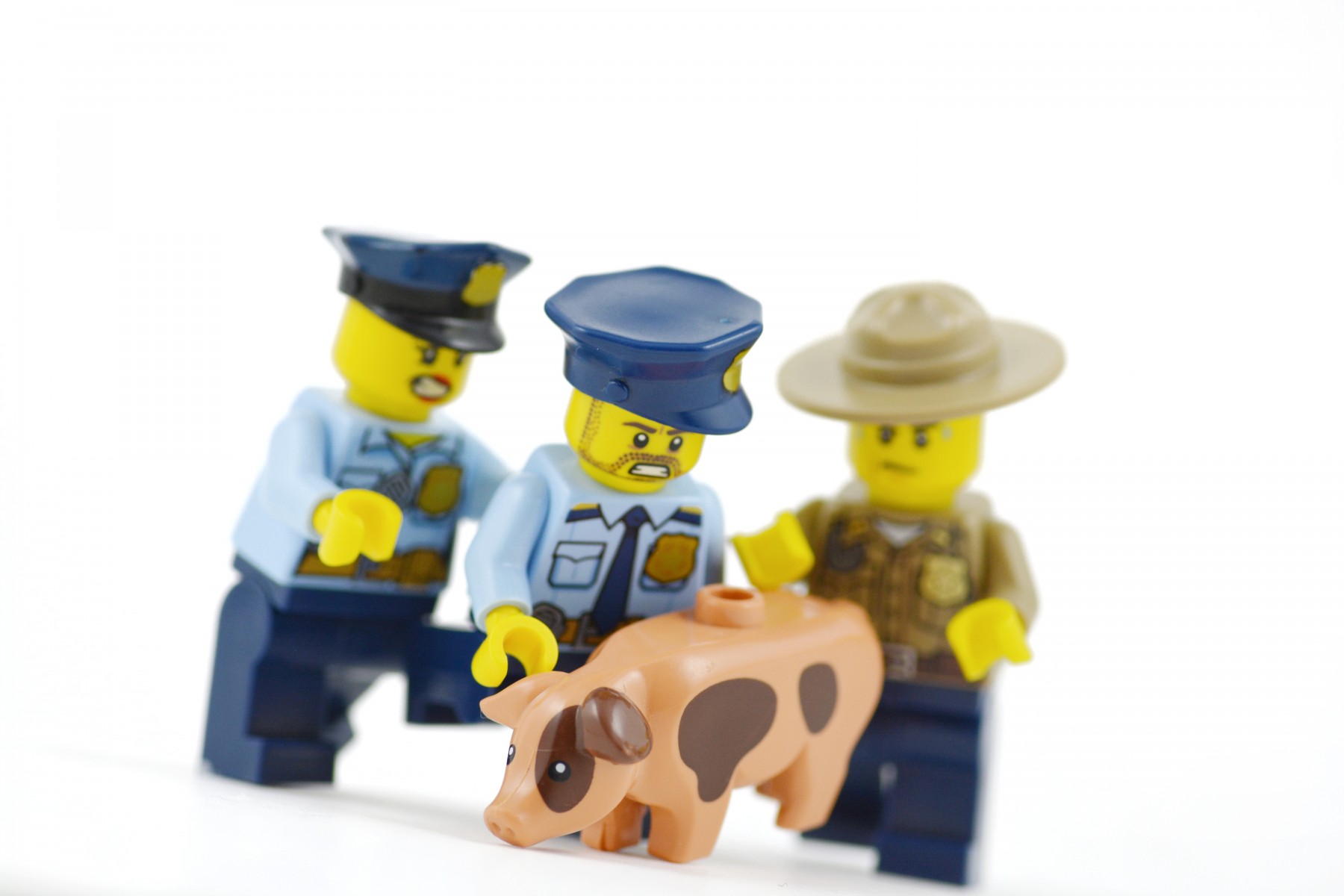 Police department invites pig jokes after catching loose pig The