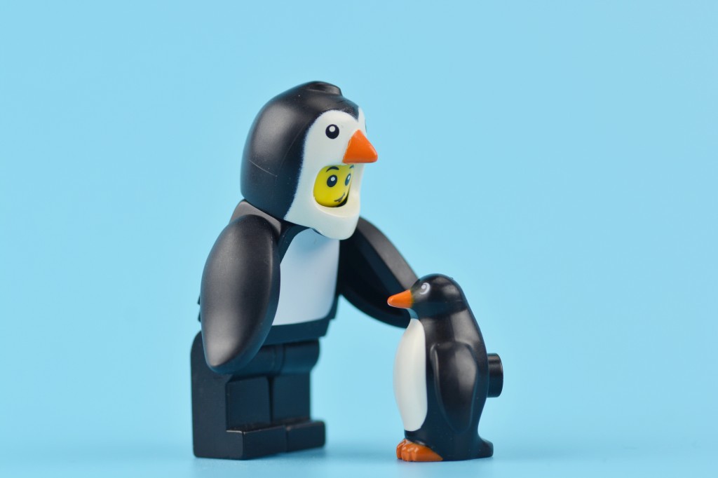 Scientists have discovered the fossil remains of a giant penguin that existed 55 to 60 million years ago, shortly after dinosaurs became extinct.